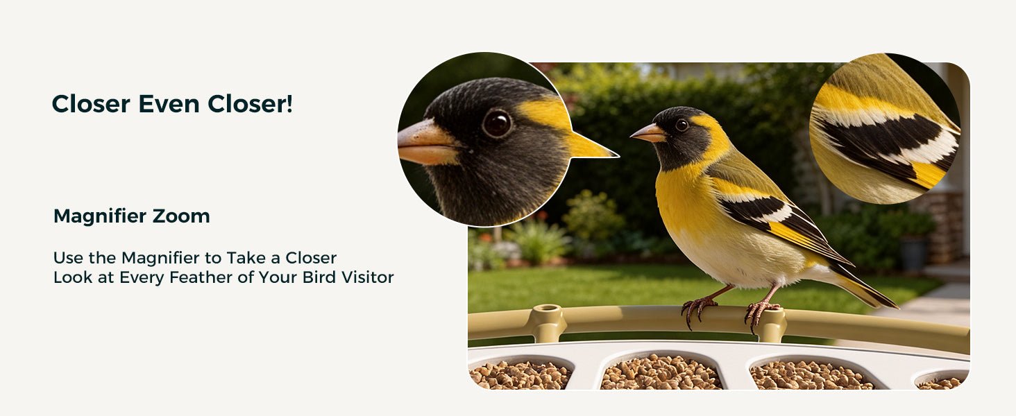 LNDU Aviary Smart Bird Feeder | Dual 1080P 50FPS Cameras | AI Bird Species Recognition & Solar Powered - AZDOME Official Stores