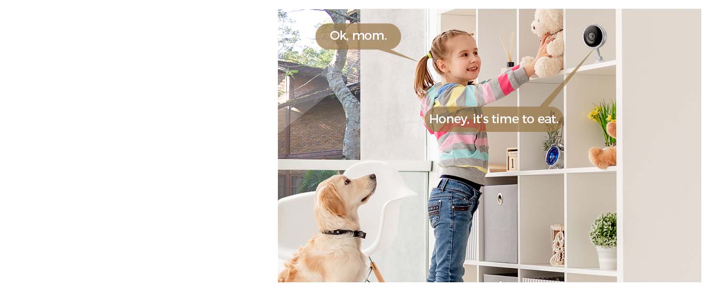 ARPHA Insight 2K Indoor Security Camera | Smart Pet & Home Monitor | AI Human & Sound Detection