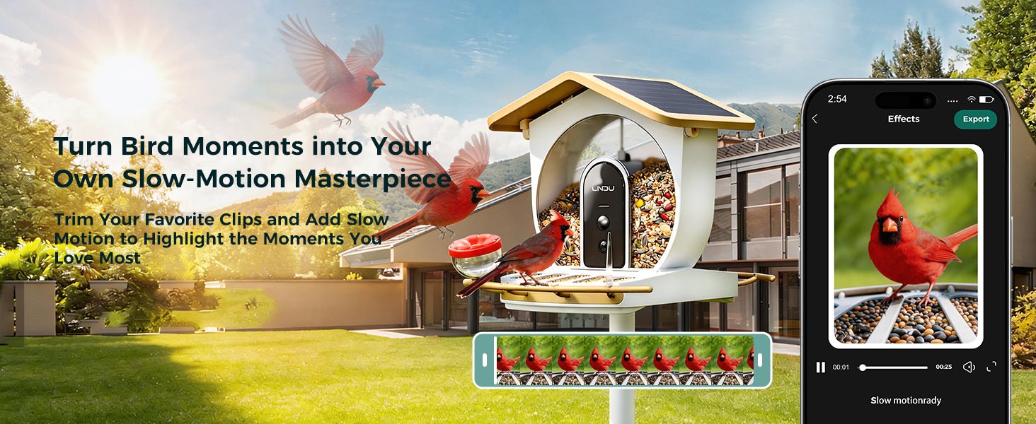 LNDU Aviary Smart Bird Feeder | Dual 1080P 50FPS Cameras | AI Bird Species Recognition & Solar Powered - AZDOME Official Stores